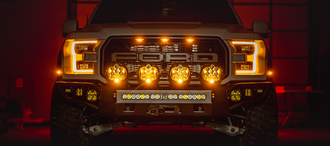 Raptor