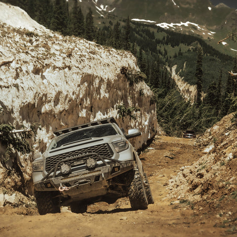 Tundra navigating a rocky mountain trail.